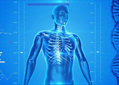 IOR Studio sulla prevenzione dell’osteoporosi