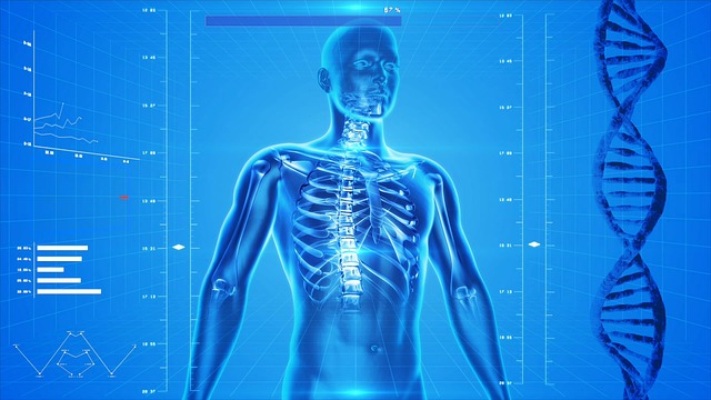 IOR Studio sulla prevenzione dell’osteoporosi