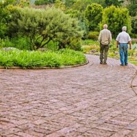 Consigli comportamentali per gli anziani cardiopatici