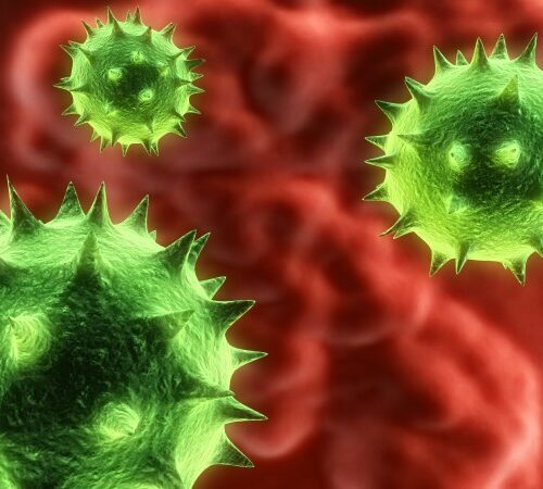 Isolato al Sant’Orsola il virus della nuova influenza