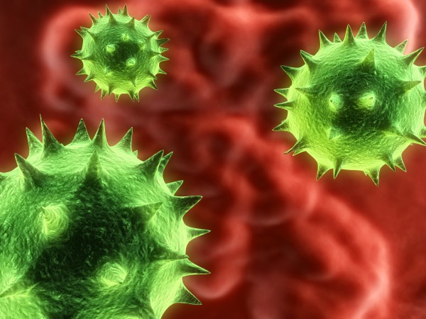 Isolato al Sant’Orsola il virus della nuova influenza