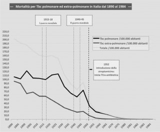 Fig. 15 - Tassi di morbosità, di mortalità e complessivi (per 100 000 abitanti) per tubercolosi in Italia dal 1890 al 1984