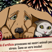 Feste Felici con i Nostri Amici