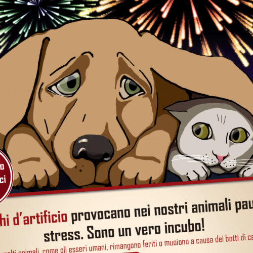 Feste Felici con i Nostri Amici