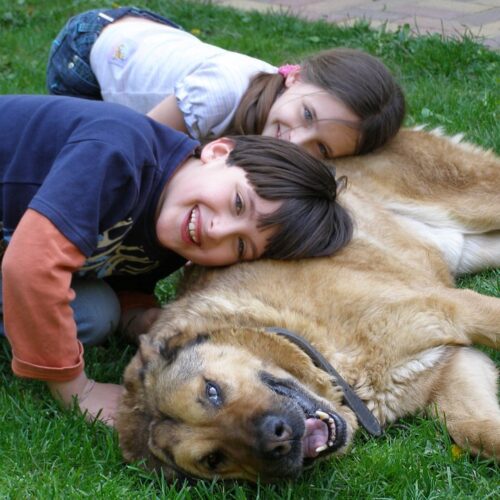 Il cane o il gatto nel letto aiutano a prendere sonno