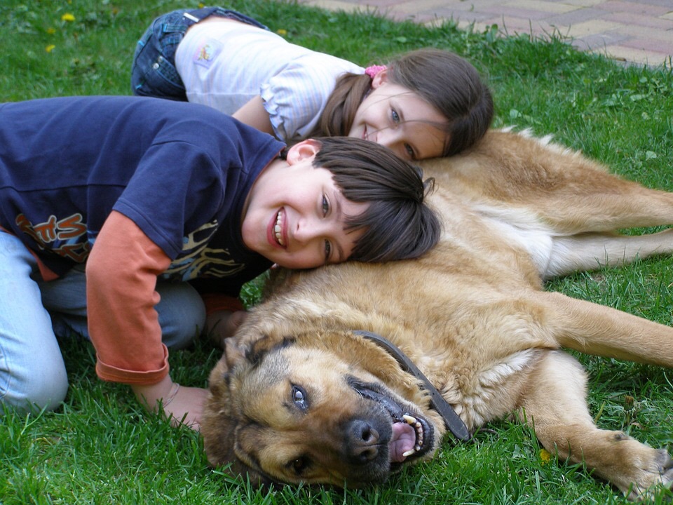 Il cane o il gatto nel letto aiutano a prendere sonno