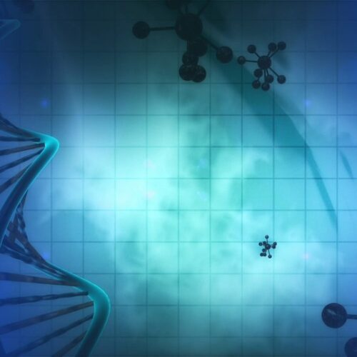 Longevità: il segreto dei centenari è scritto nel DNA