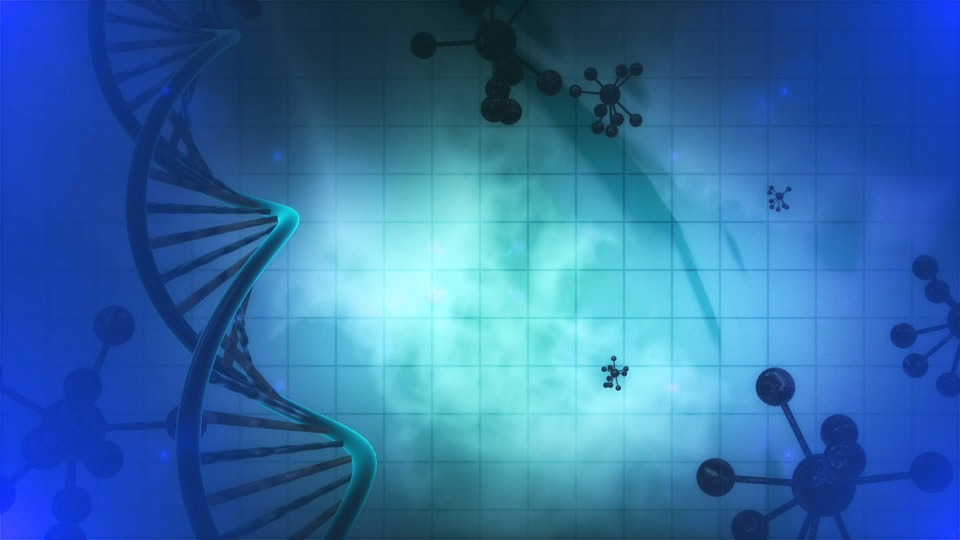 Longevità: il segreto dei centenari è scritto nel DNA