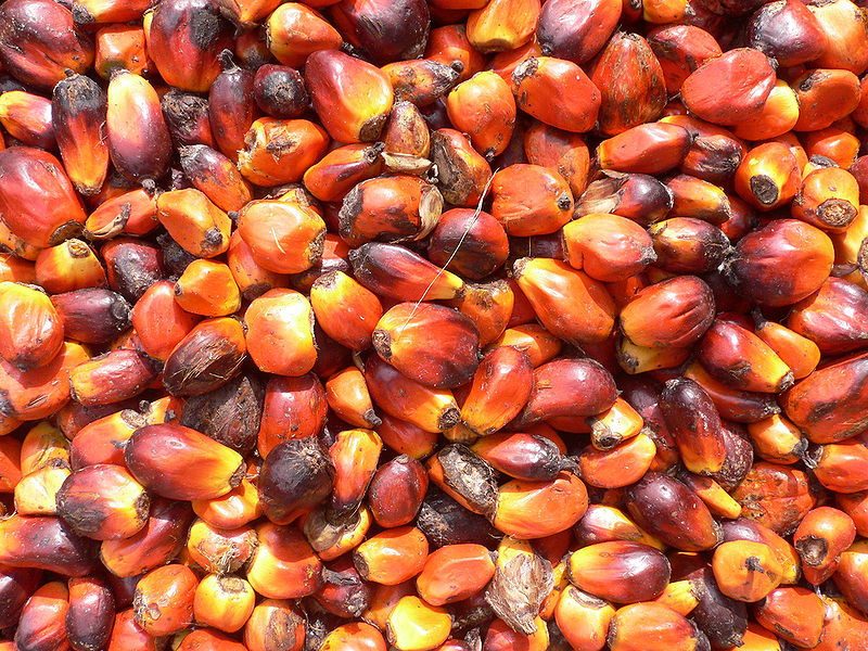 “L’olio di palma non è nocivo”. Ecco il parere dell’Istituto Superiore di Sanità