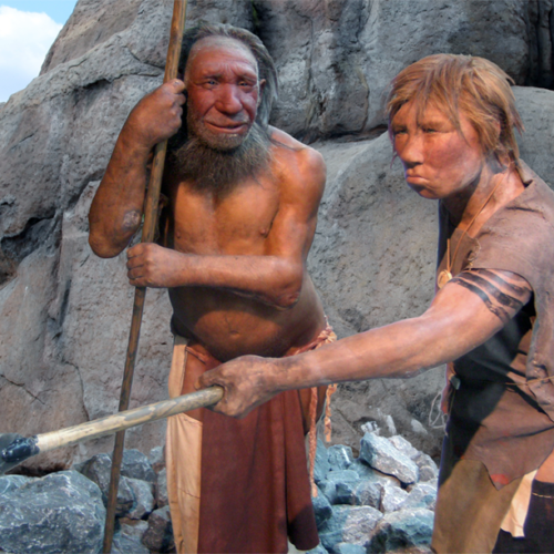 Dalla depressione all’infarto, l’eredità genetica dei Neanderthal