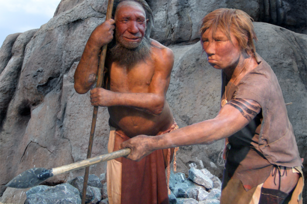 https://it.wikipedia.org/wiki/Homo_neanderthalensis