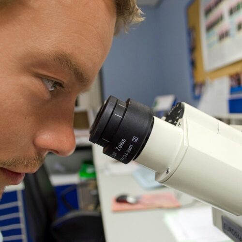 Creato in laboratorio un occhio con cellule staminali