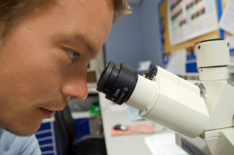 Creato in laboratorio un occhio con cellule staminali