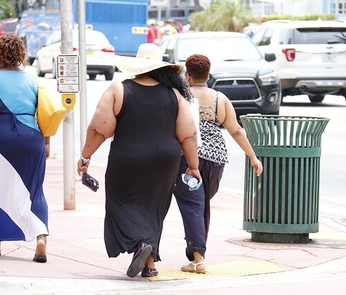 Un esercito di obesi. Oltre 640 milioni nel mondo