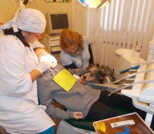 OdontoPet, dal dentista con il cane