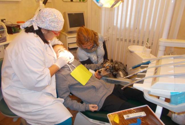 OdontoPet, dal dentista con il cane