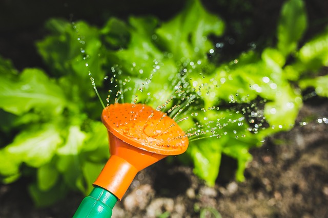 Il giardino di casa? Una terapia per l’umore e lo stress