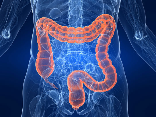 Tumori del colon, nuove prospettive di cura