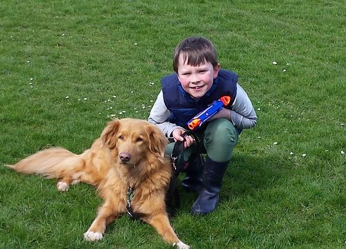 Scuola. A insegnare l’empatia ai bulli ci pensa fido