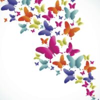 Settimana mondiale della tiroide: le iniziative dell'Ausl Bo