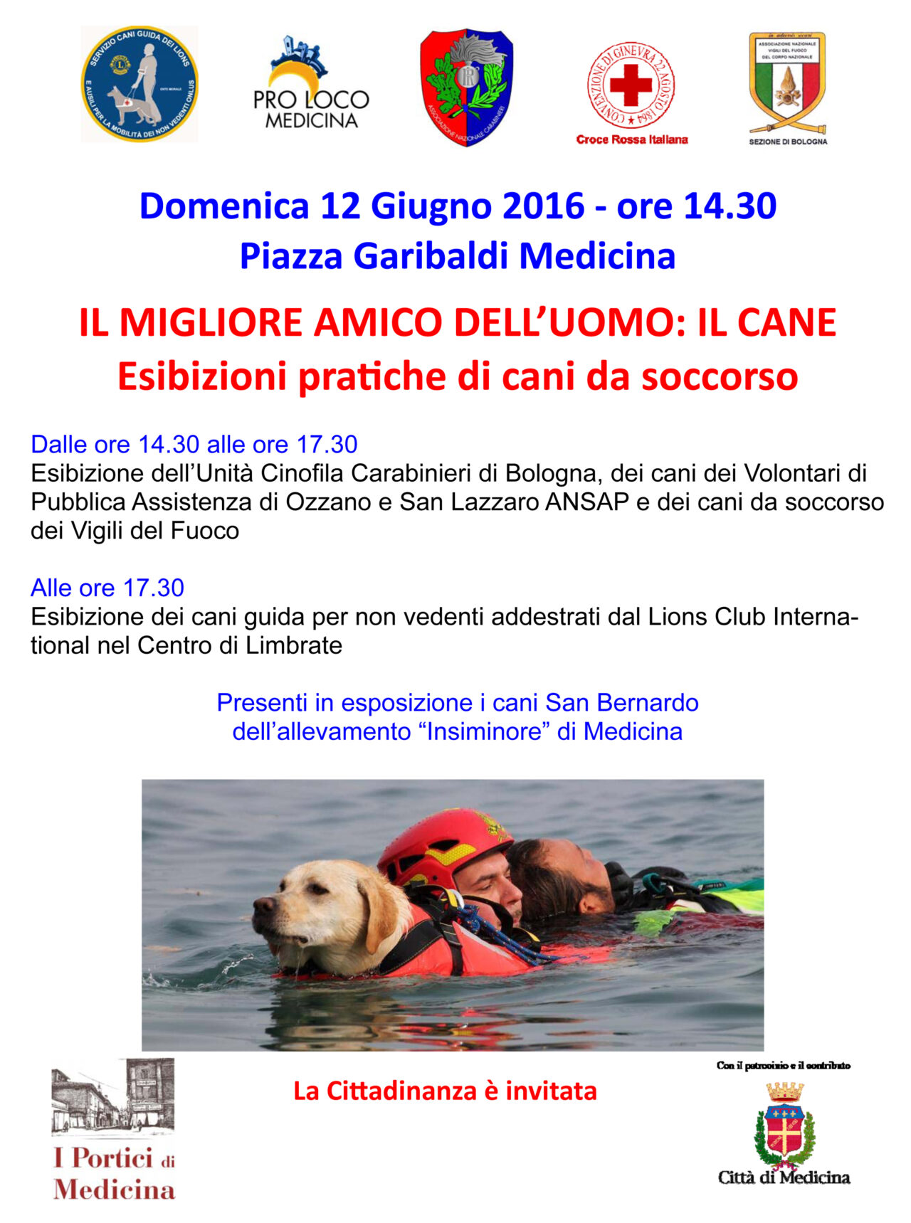 Cane da soccorso.pub