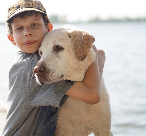 Diabete: il cane addestrato può riconoscere l’ipoglicemia del padrone e allertare