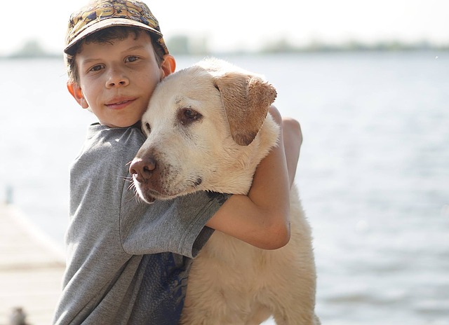 Diabete: il cane addestrato può riconoscere l’ipoglicemia del padrone e allertare