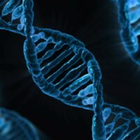 Celiachia, il CNR scopre i geni che la determinano