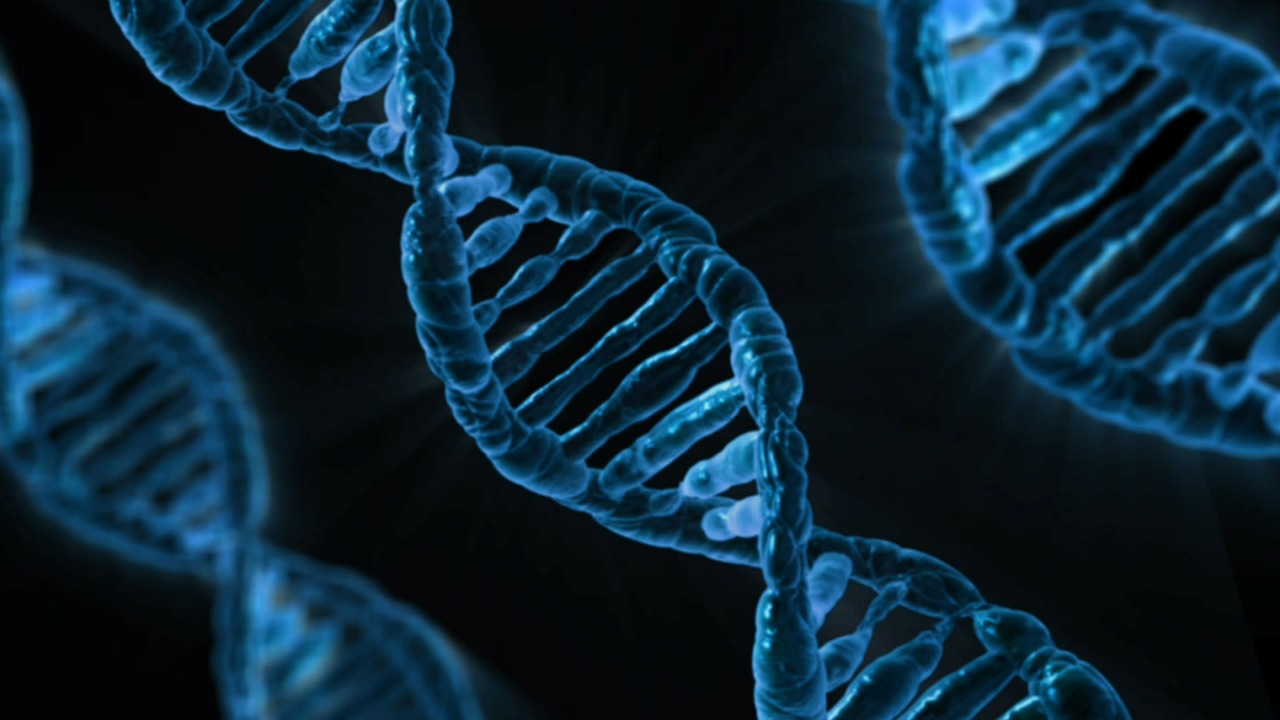 Celiachia, il CNR scopre i geni che la determinano