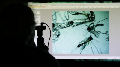 In Spagna nato il primo bimbo con microcefalia da virus Zika