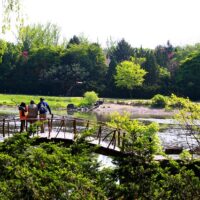 Il meraviglioso potere della natura contro depressione e ipertensione