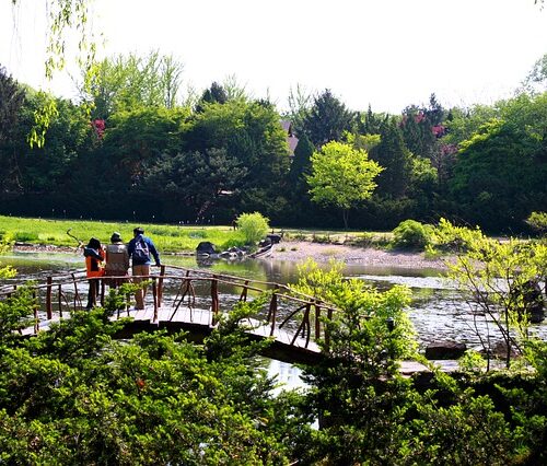 Il meraviglioso potere della natura contro depressione e ipertensione