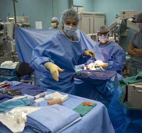 Al Policlinico di Milano rene di un donatore di 83 anni, ringiovanito e trapiantato