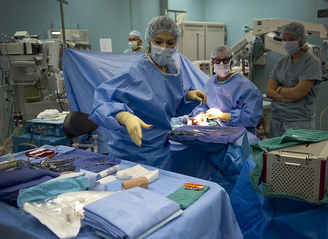 Al Policlinico di Milano rene di un donatore di 83 anni, ringiovanito e trapiantato