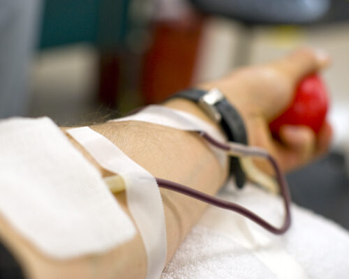Terremoto, Avis: “Boom donatori, ma sangue serve tutto l’anno”