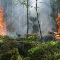 Incendi estivi: ecco come le ondate di fumo minacciano la nostra salute