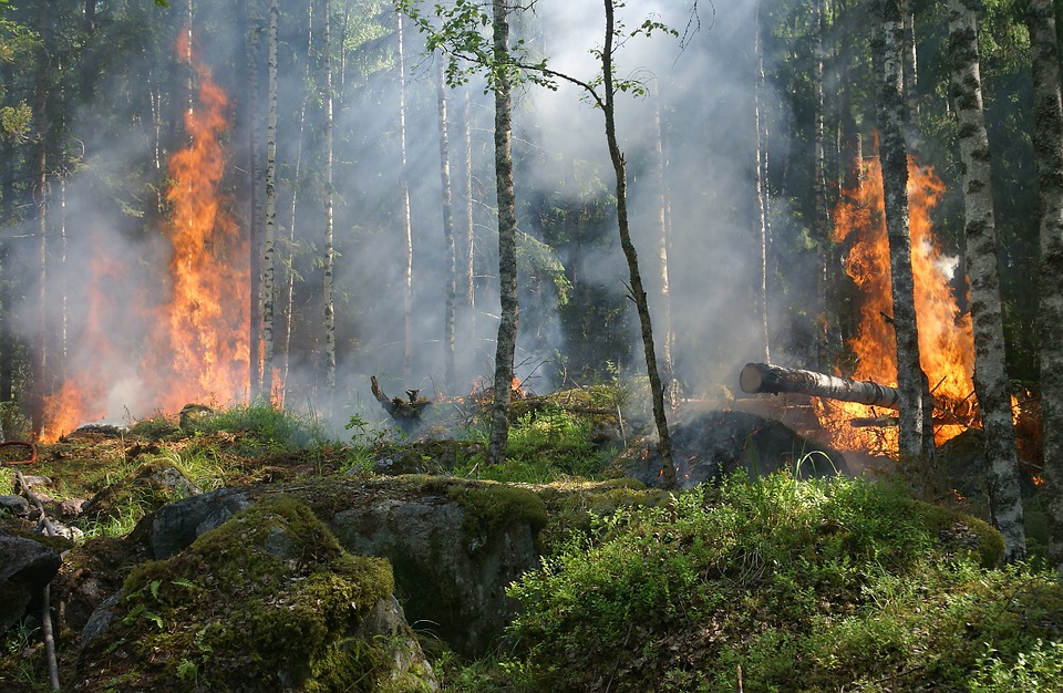 Incendi estivi: ecco come le ondate di fumo minacciano la nostra salute