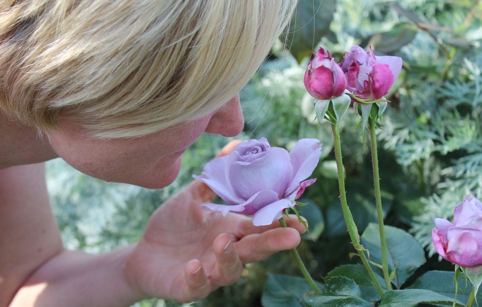 Vivere senza l’olfatto. Cause e conseguenze della “anosmia”