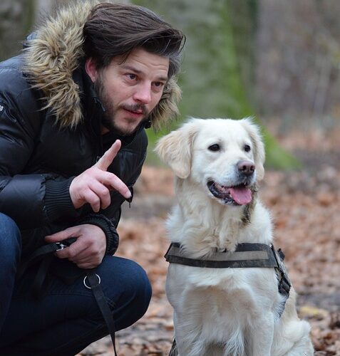 Il cane, un alleato per perdere peso