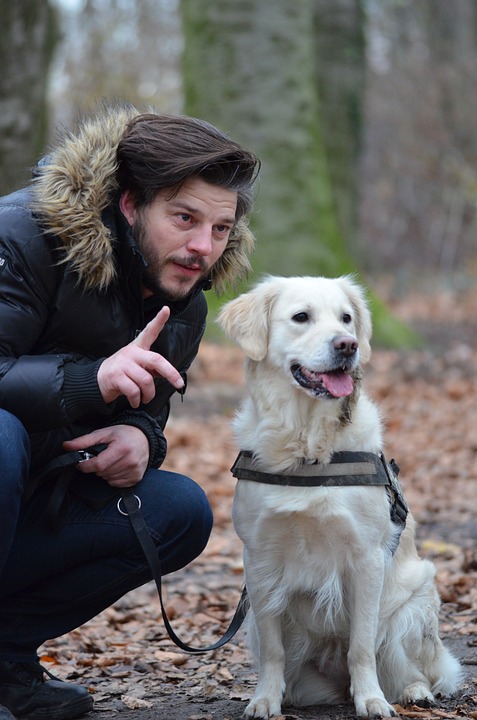 Il cane, un alleato per perdere peso