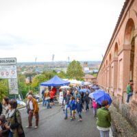 “Arrivo fin lí po bast”. A Bologna arriva il San Lòcca Day, tra stand, buon cibo e allegria