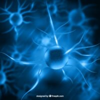 Proteine shock, effetti anche su SLA e Alzheimer