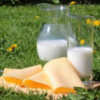Latte e formaggi aiutano a perdere peso