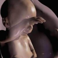 Tecnologia brasiliana in arrivo: il feto in 3D come non lo avete mai visto