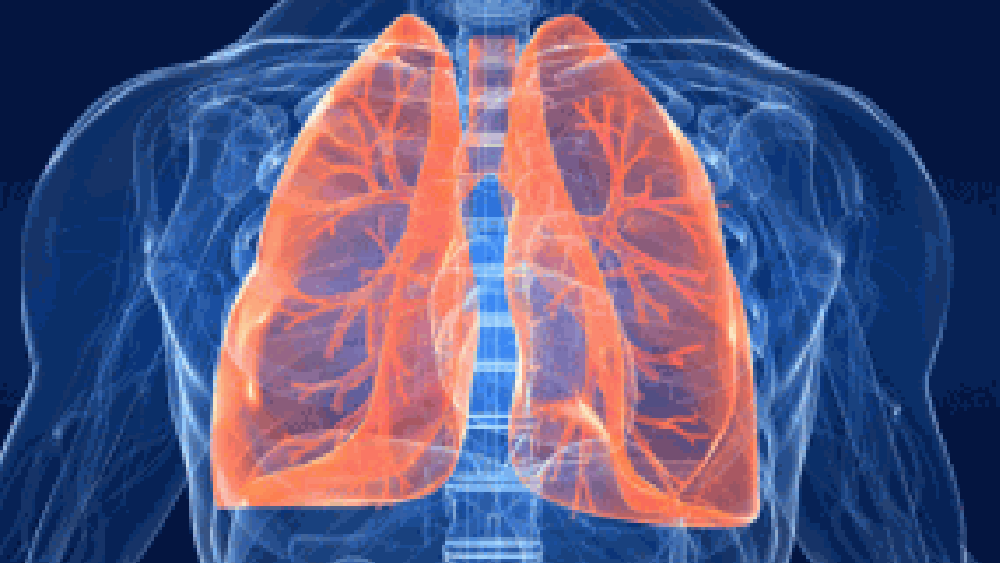 Tumore al polmone, la scienza punta sull’immunoterapia
