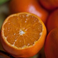 Tre mesi senza vitamina C e rischi di ammalarti di “Scorbuto”