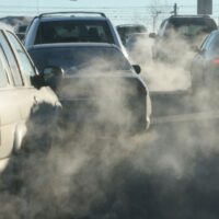 Per la Coldiretti è allarme smog: in città, solo 31,1 mq di verde a testa