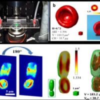 CNR: "Biopsia liquida" nuova metodica 3D per diagnosi precoce tumori