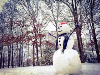 Snow Cold White Winter Snowman Trees Snowfall