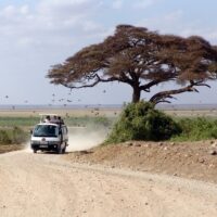 Turismo. I viaggiatori del 2017? Single e scelgono safari in Africa